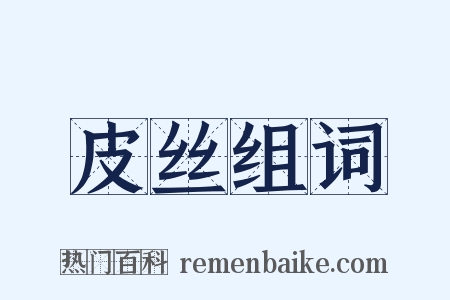 皮丝组词是什么意思的图片